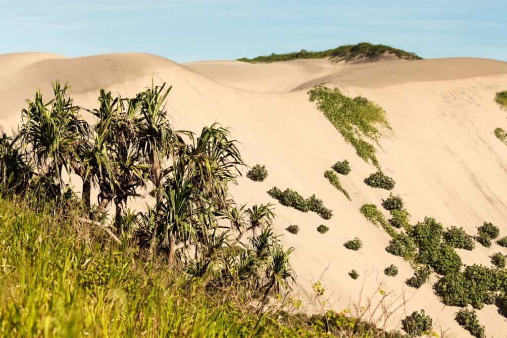 Sigatoka Sand Dunes National Park