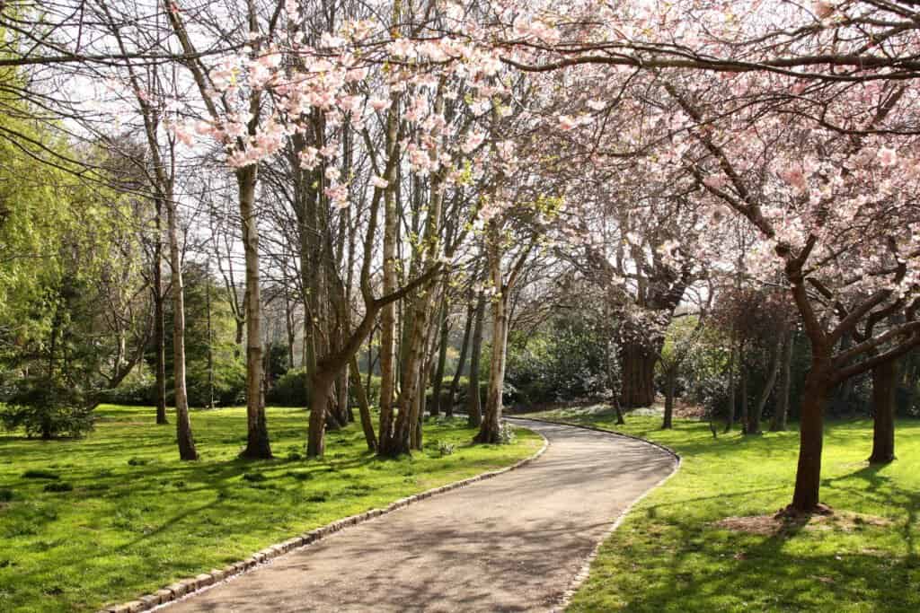 Merrion Square Park