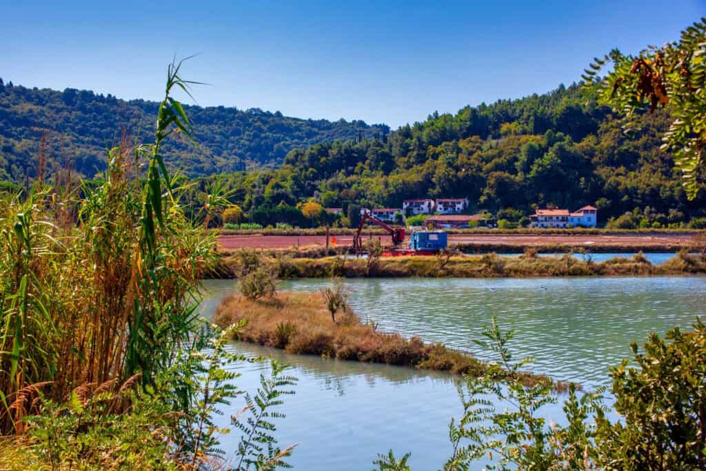 Nature Reserve Strunjan