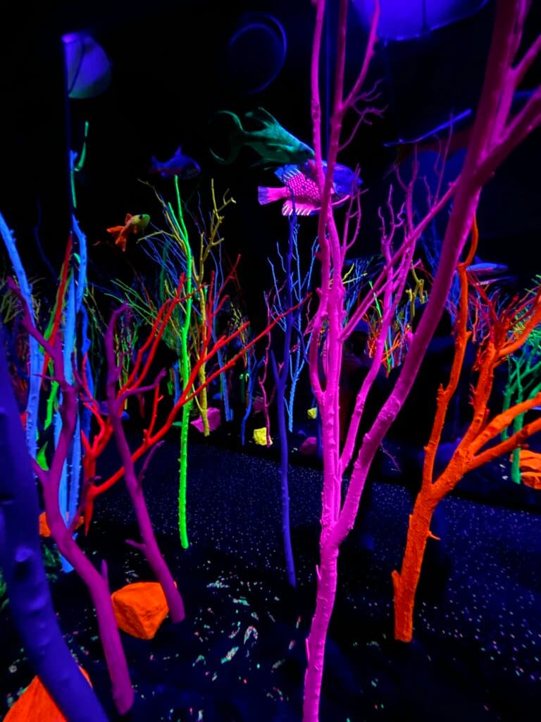 Meow Wolf Santa Fe