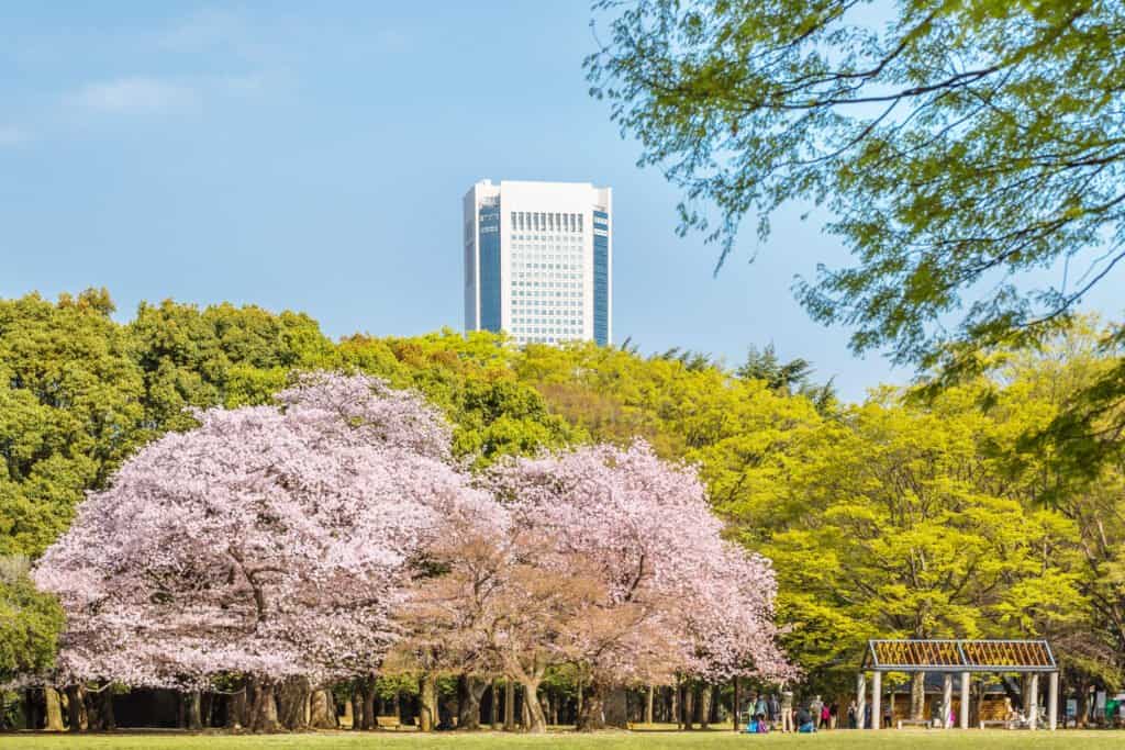 Yoyogi Park