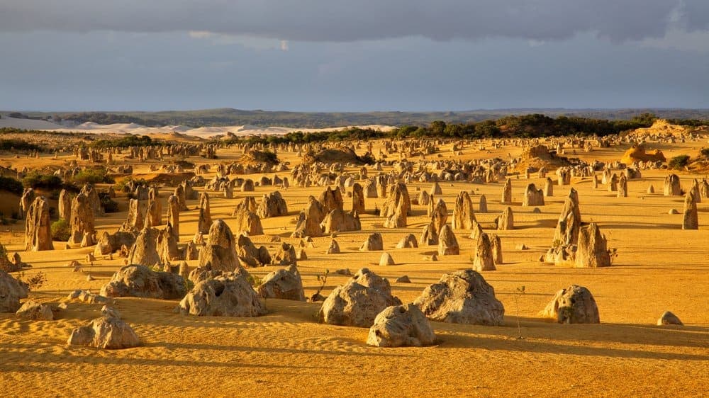 The Pinnacles Desert