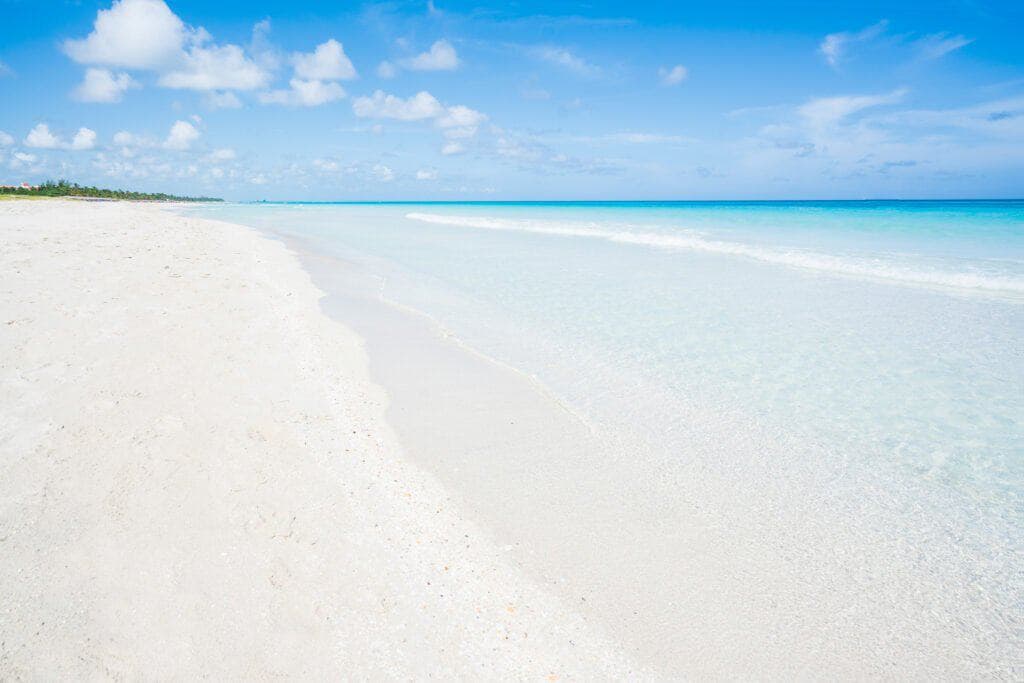 Jardines del Rey