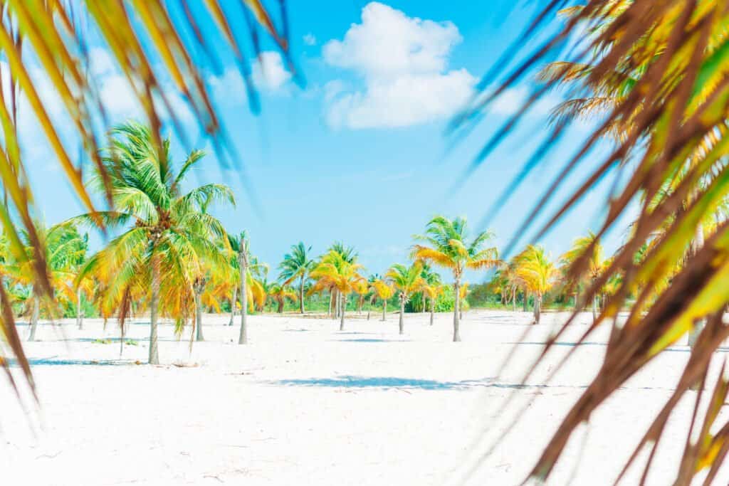 Playa Sirena