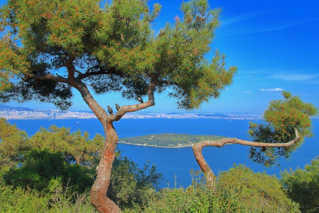 Princes’ Islands