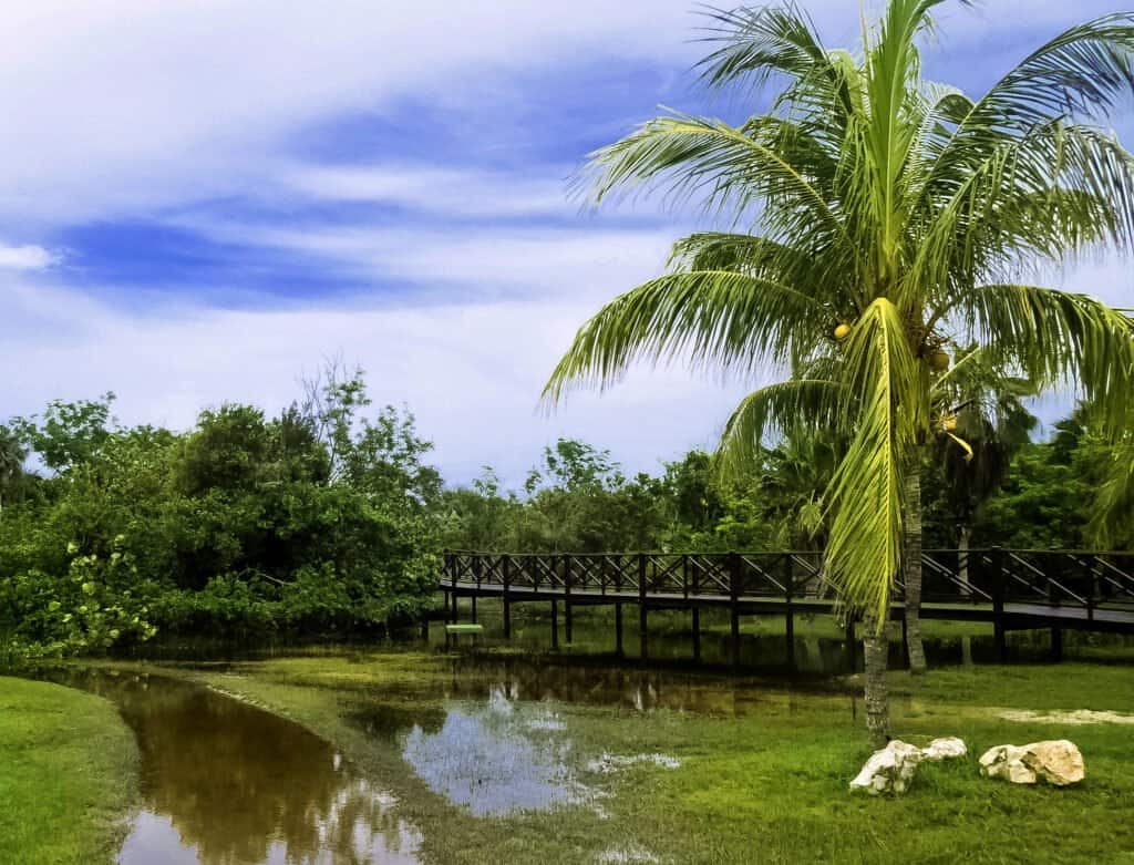 Parque Nacional Ciénaga de Zapata