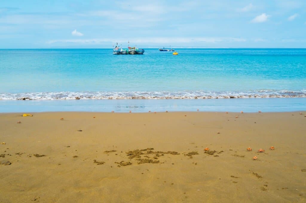 Plata Island