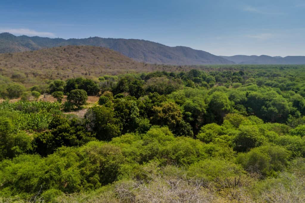 Machalilla National Park