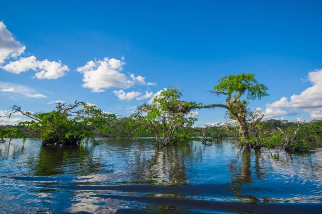 Cuyabeno Reserve