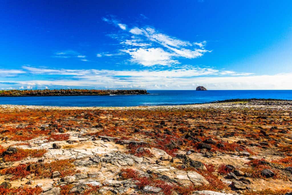 South Plaza Island
