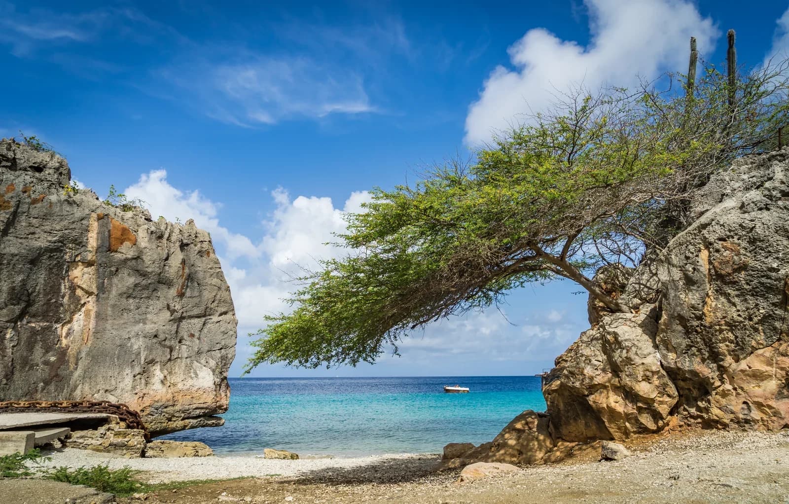 Freedom on Four Wheels: The Complete Guide to Navigating and Discovering the Magic of Curaçao