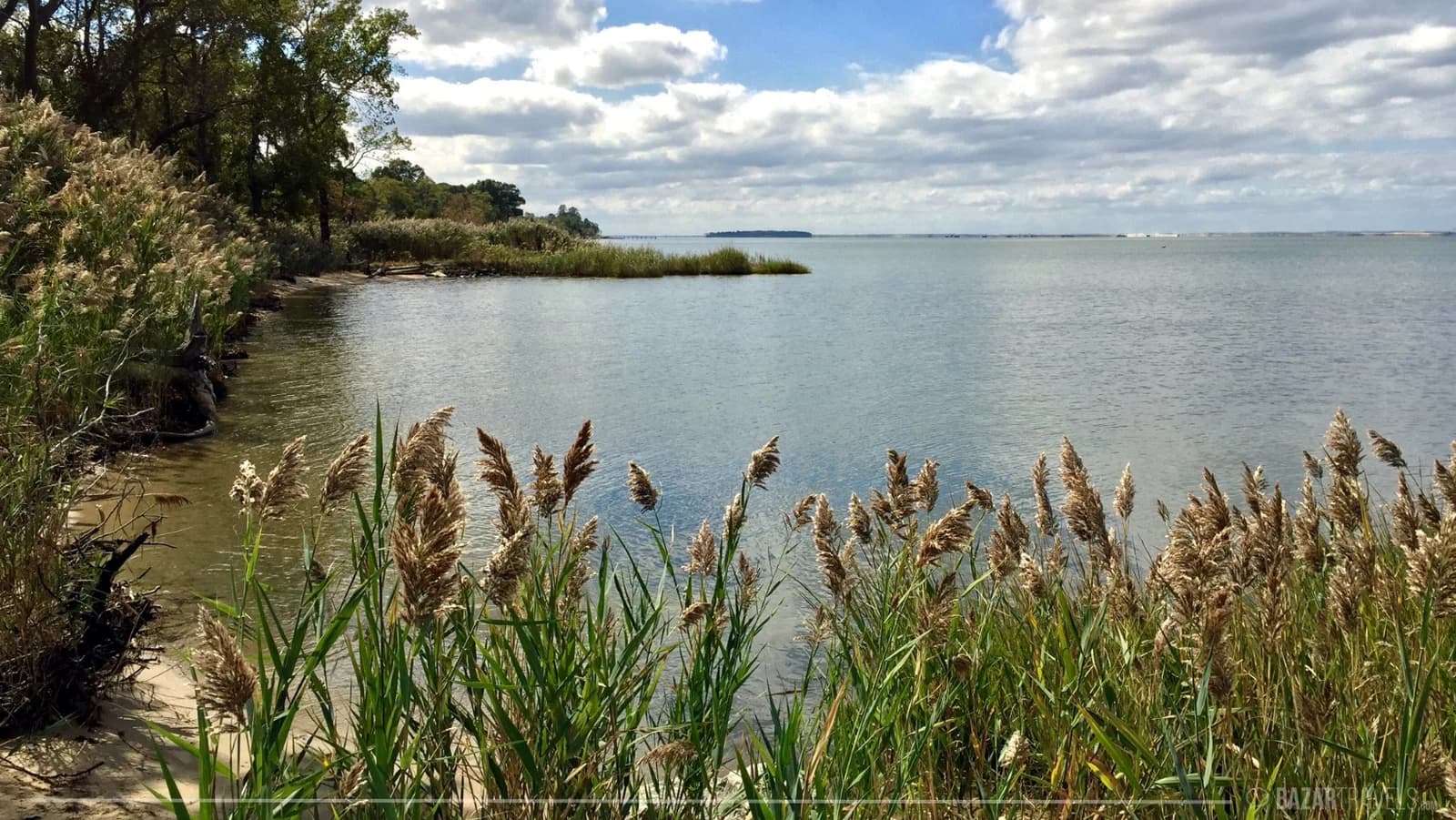 The rhythm of autumn on the Chesapeake Bay