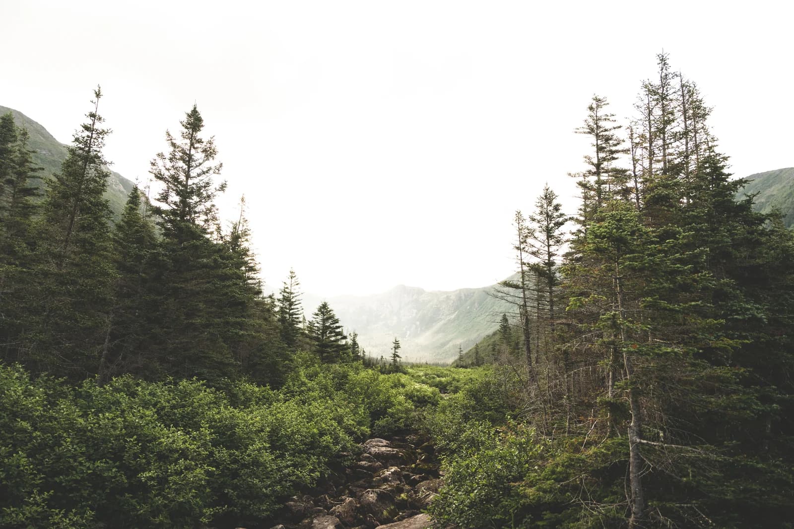 Long-Term National Park Living: Best Canvas Tents