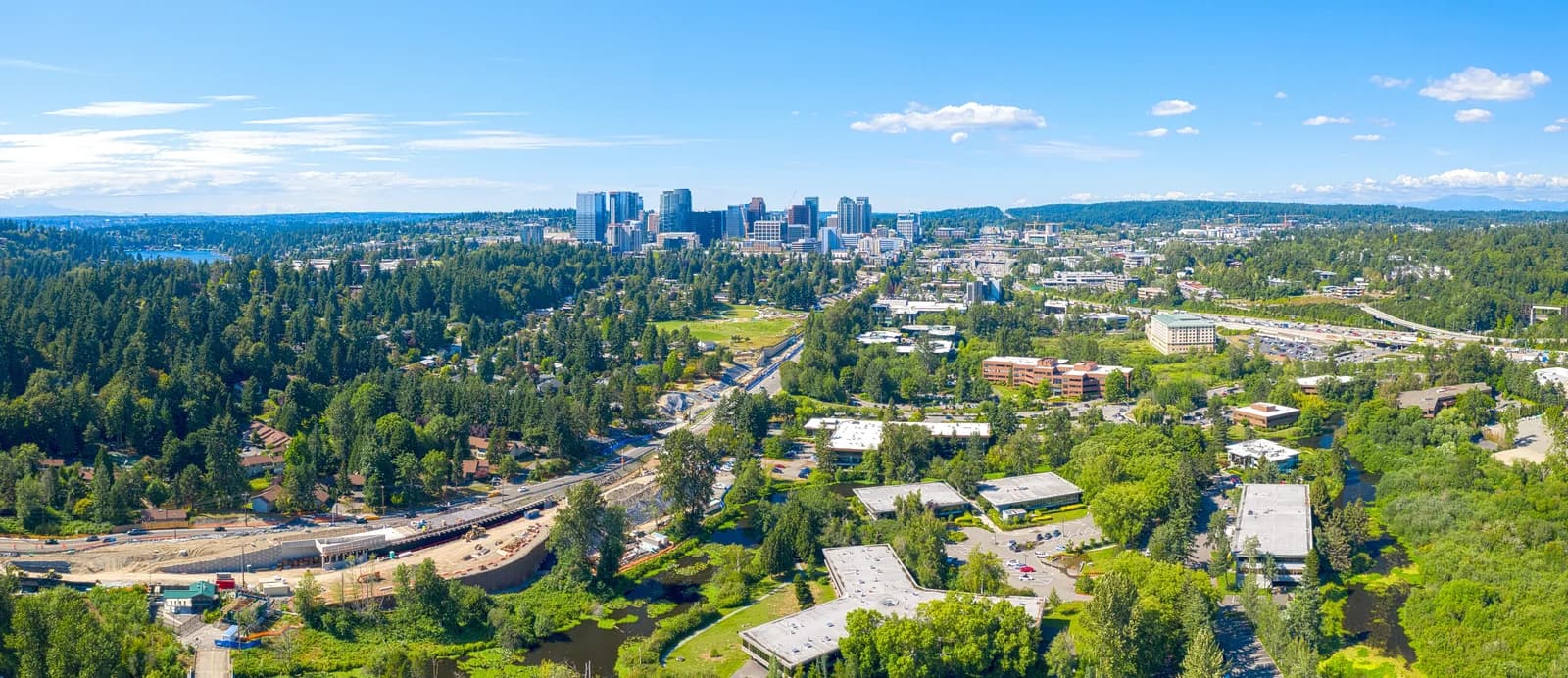 Settling Into Bellevue and Kirkland: What Corporate Relocations Teach About Furniture Care