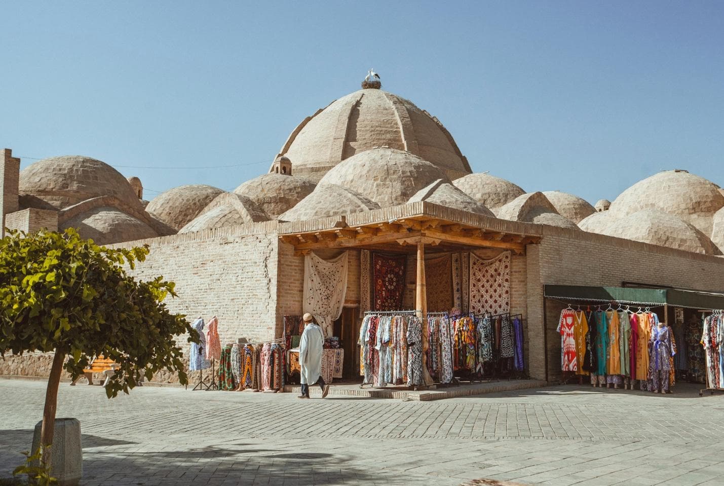 What Makes a Central Asia Tour Worth Booking? The Experiences You Can't Create on Your Own