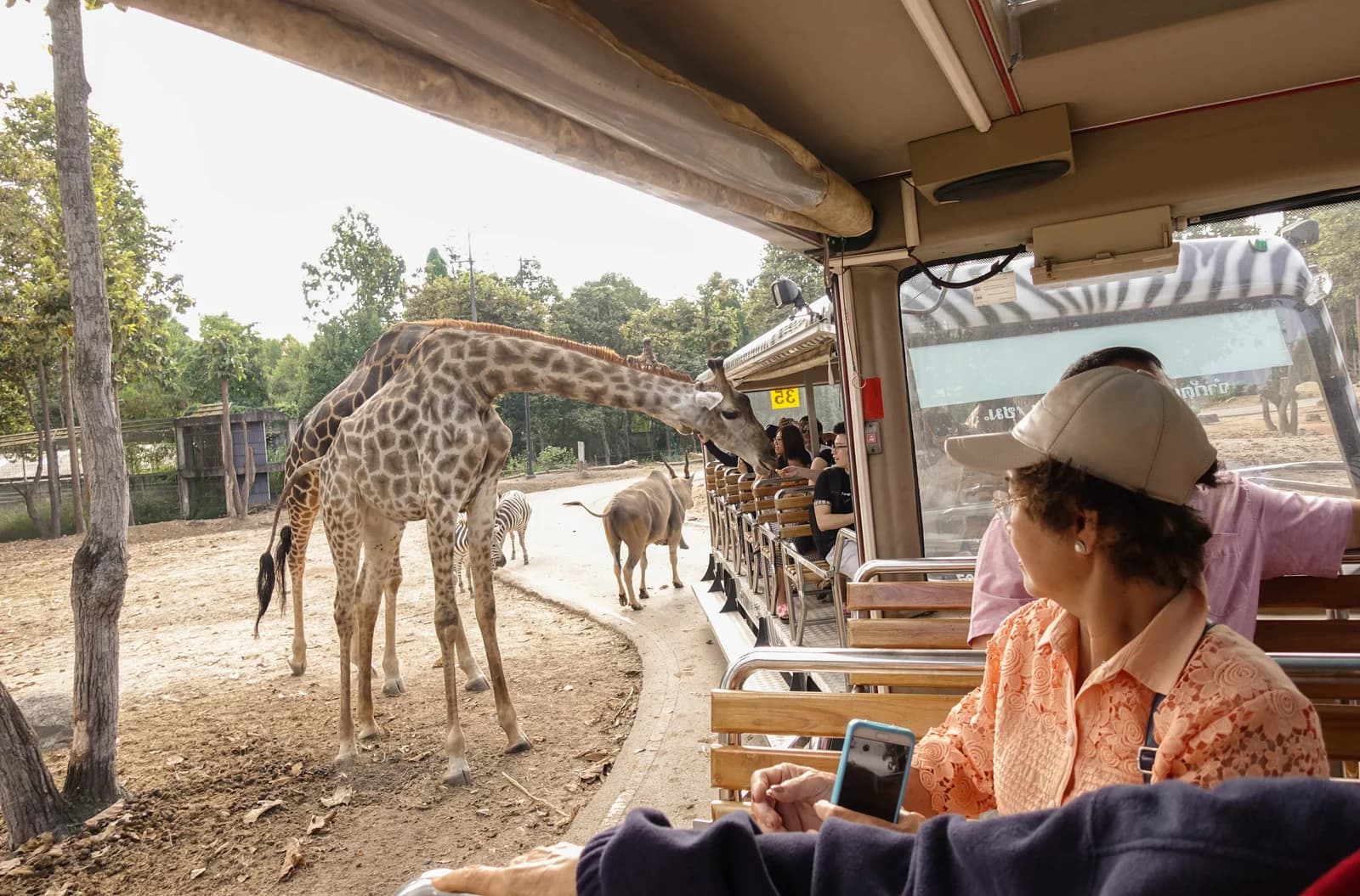 The Complete Weekend Guide: Exploring Safari World Bangkok with Kids