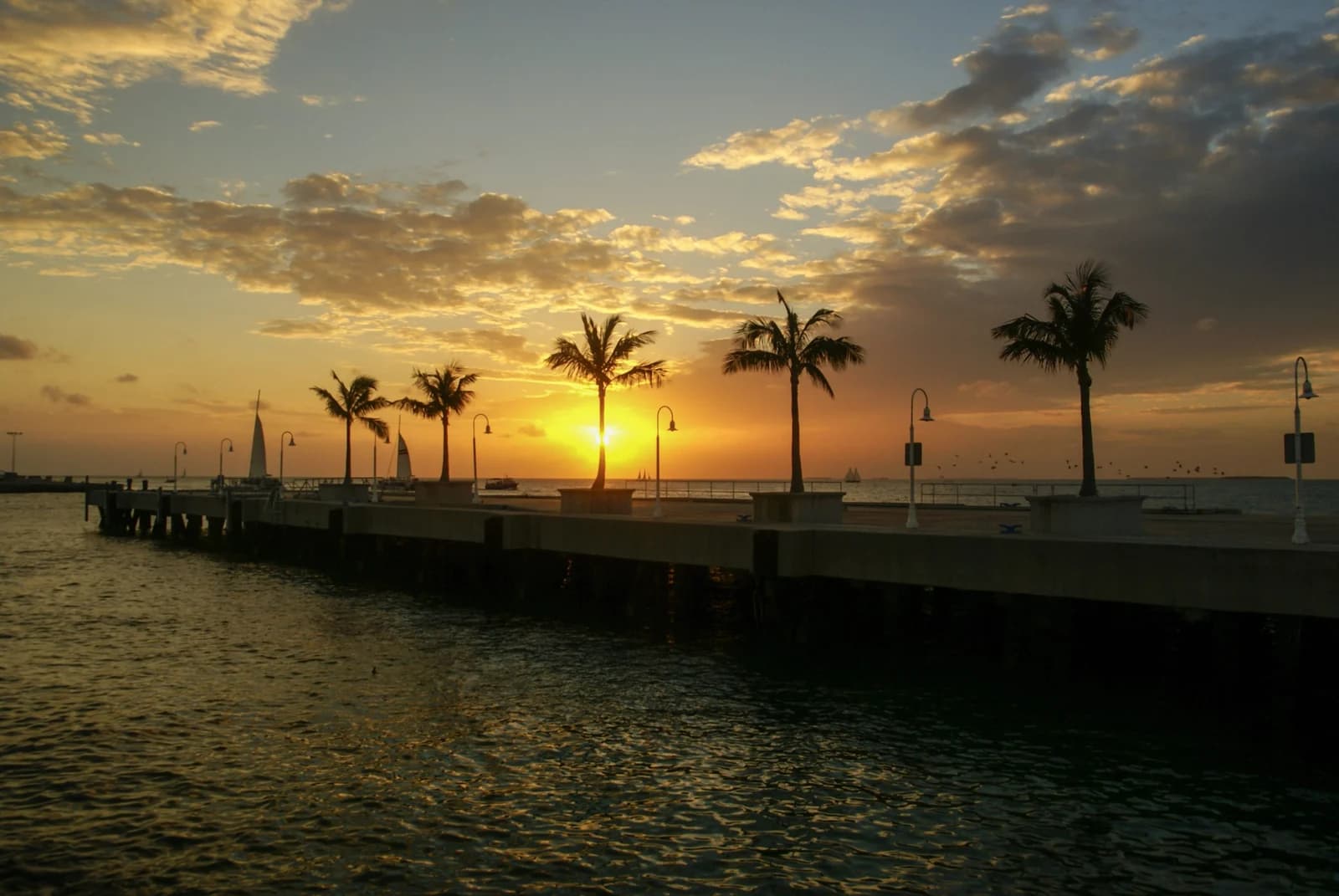 7 Things Nobody Tells You About Boat Charters in Key West
