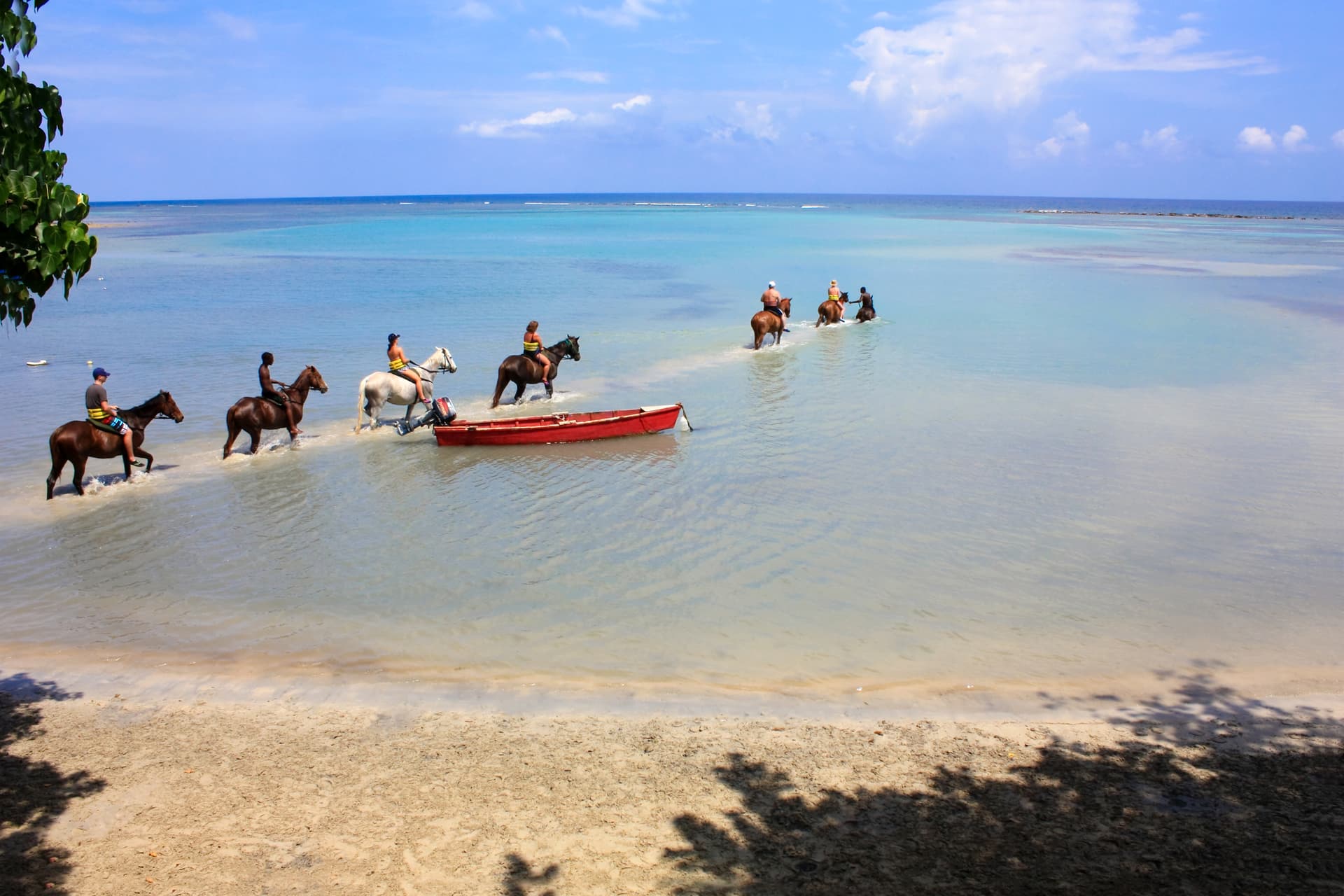 Horseback Riding experience