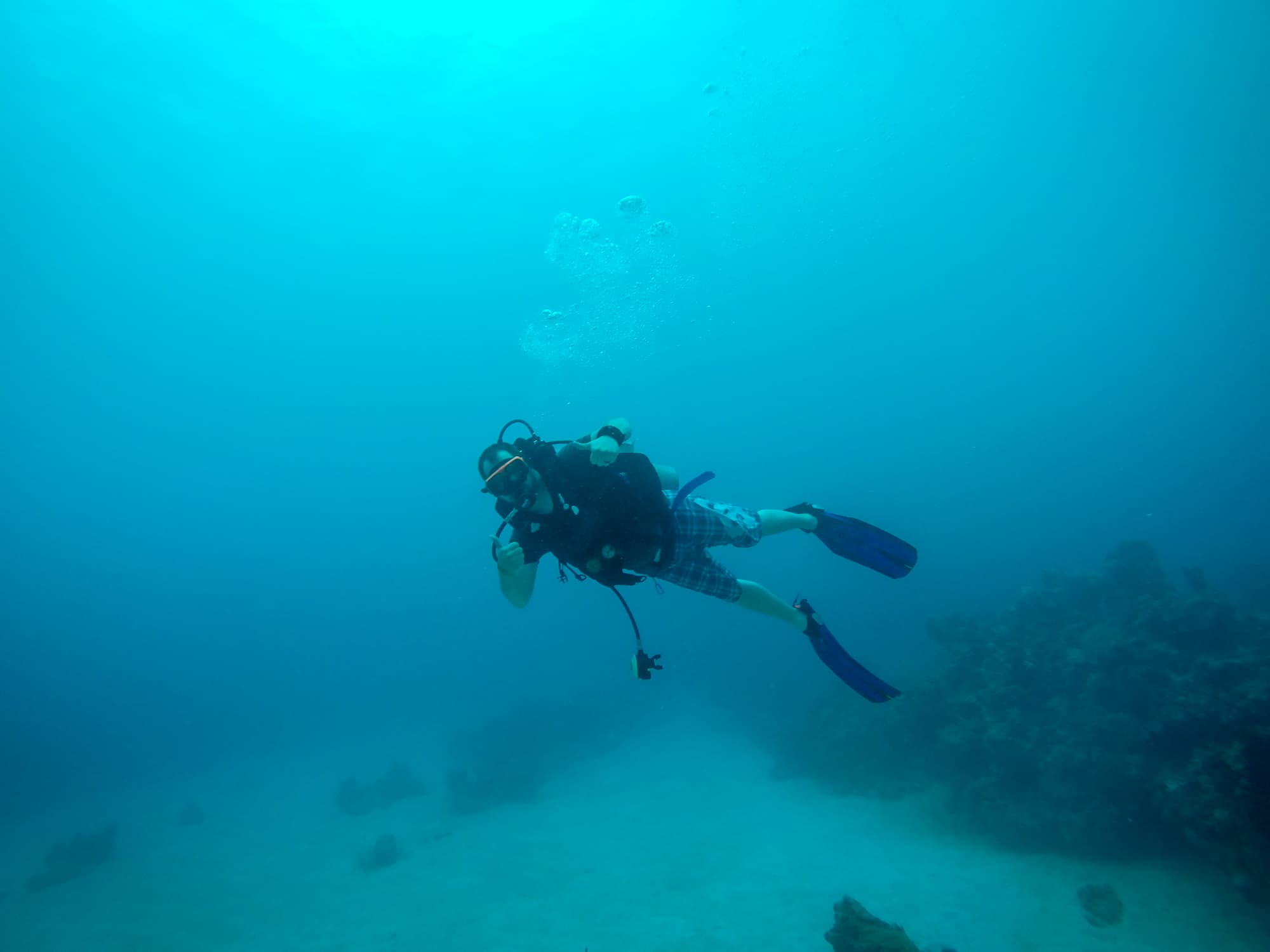 Dive for Fun (Scuba Diving)