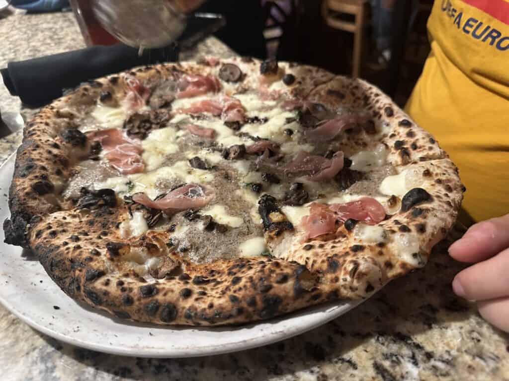 Cane Rosso