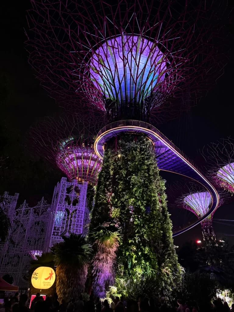 Supertree Grove Singapore