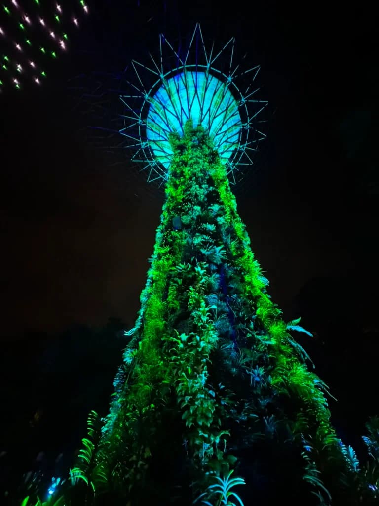 Supertree Grove Singapore