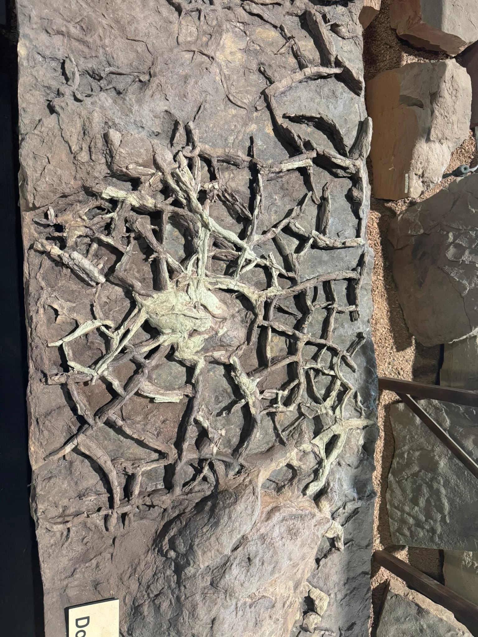 St. George Dinosaur Discovery Site at Johnson Farm