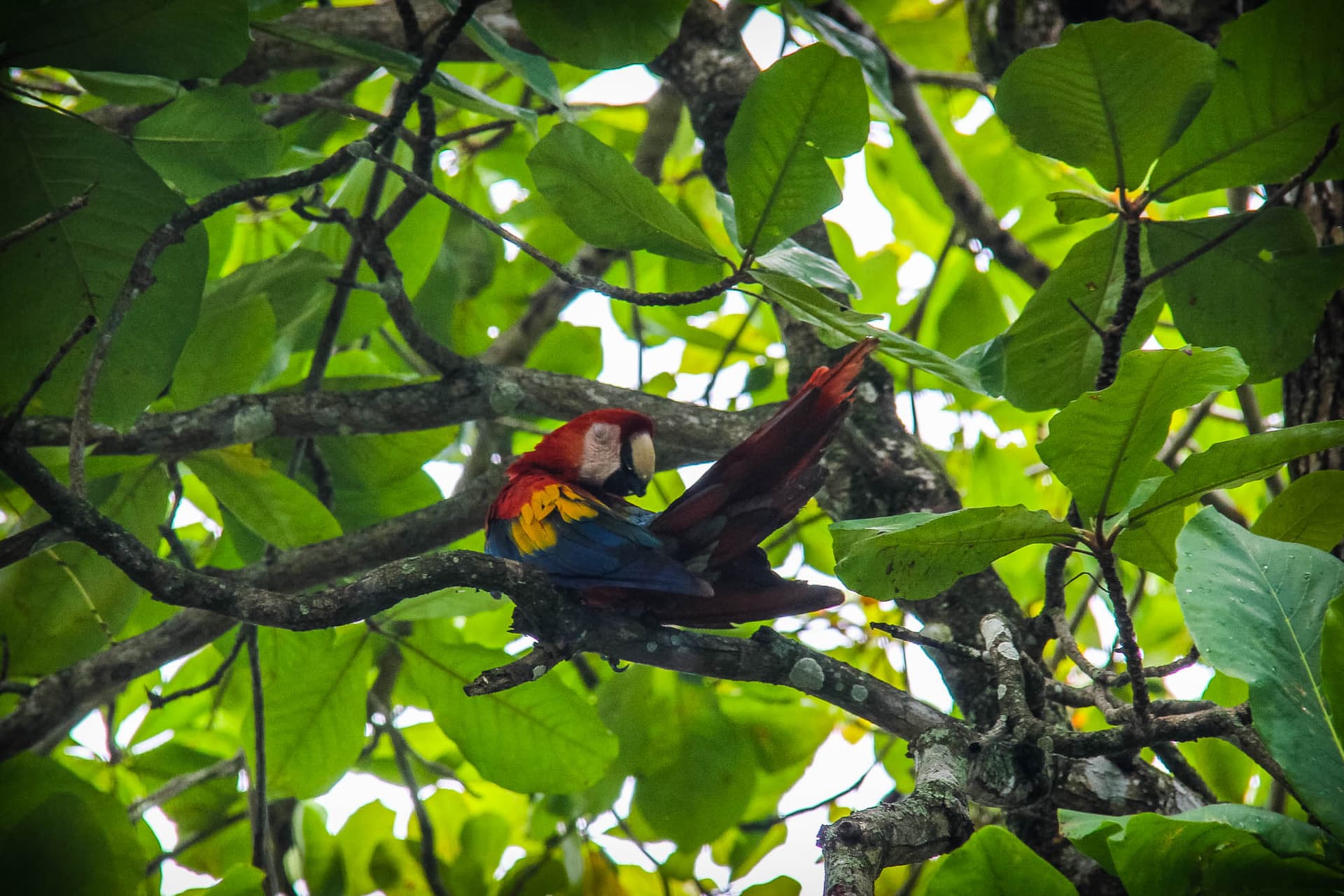 Costa Rica