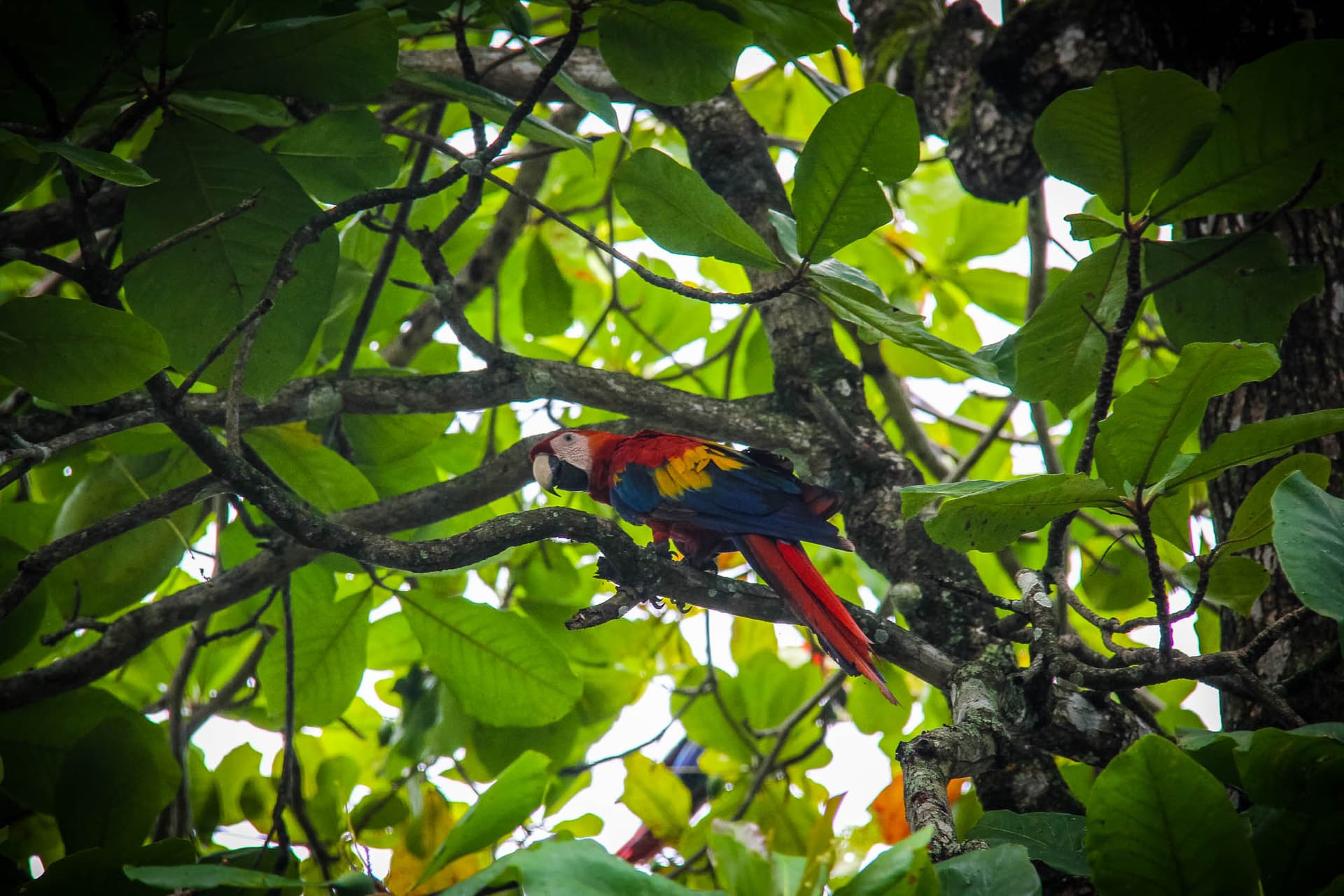 Costa Rica