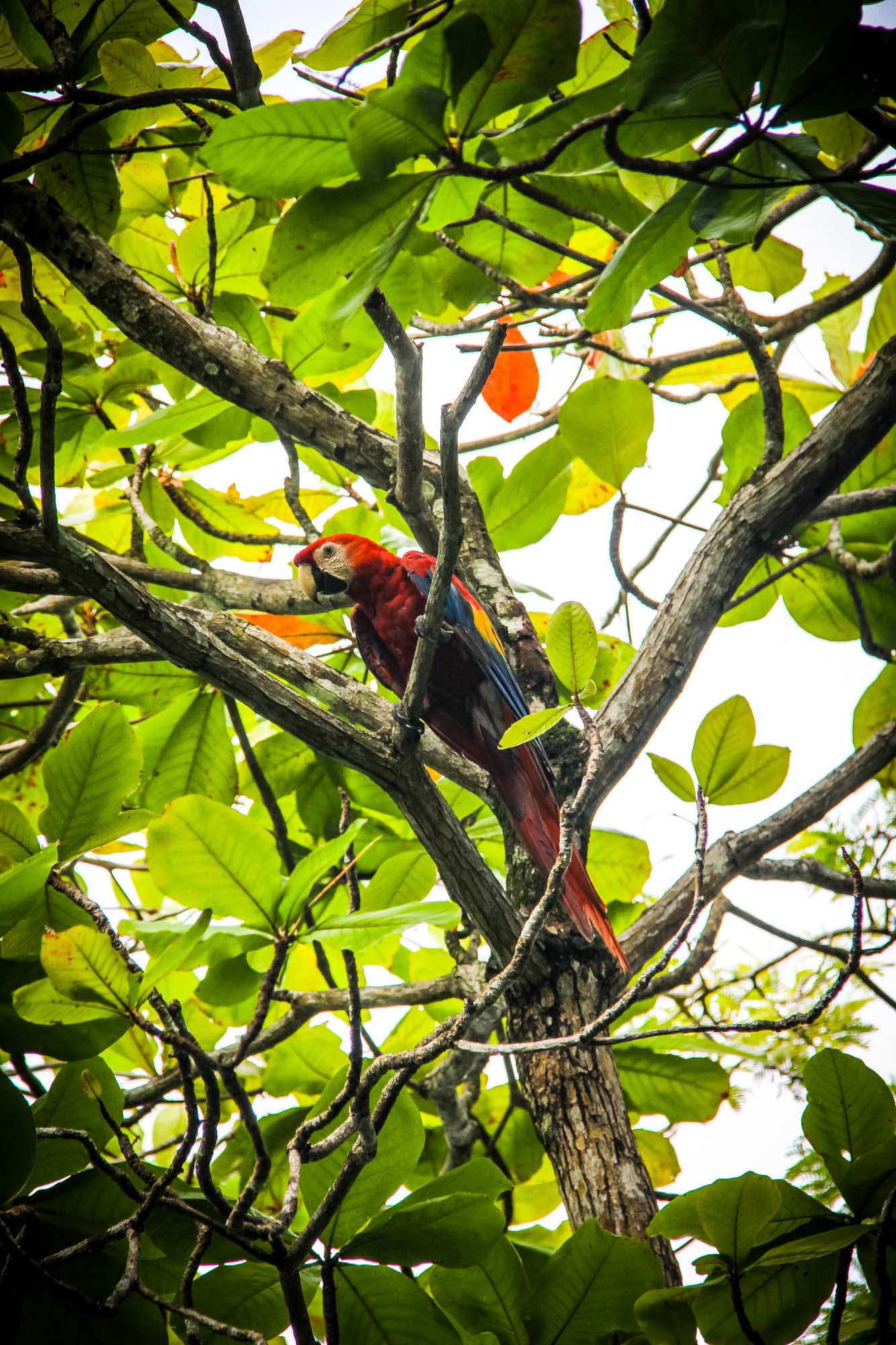 Costa Rica