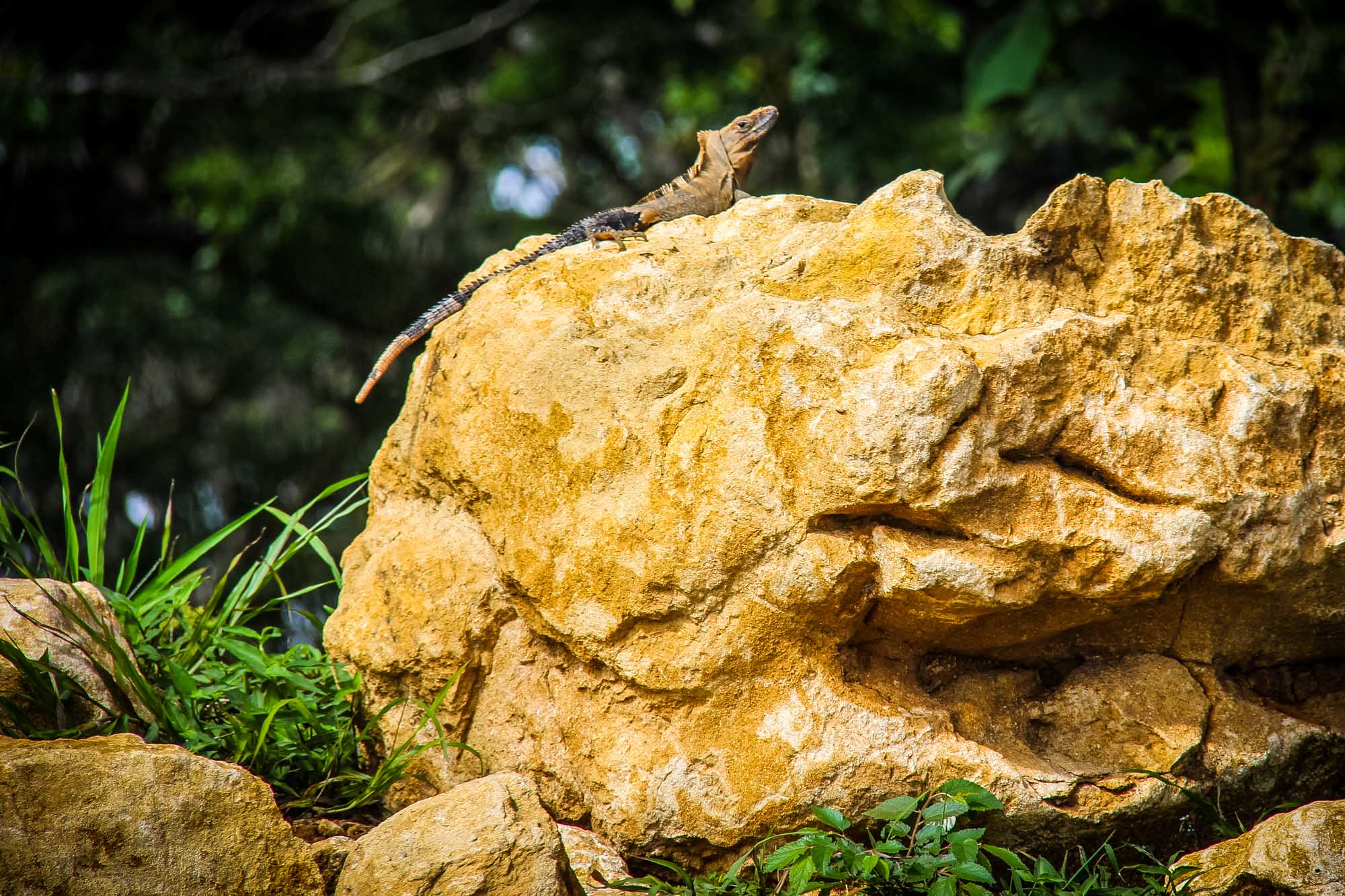 Costa Rica