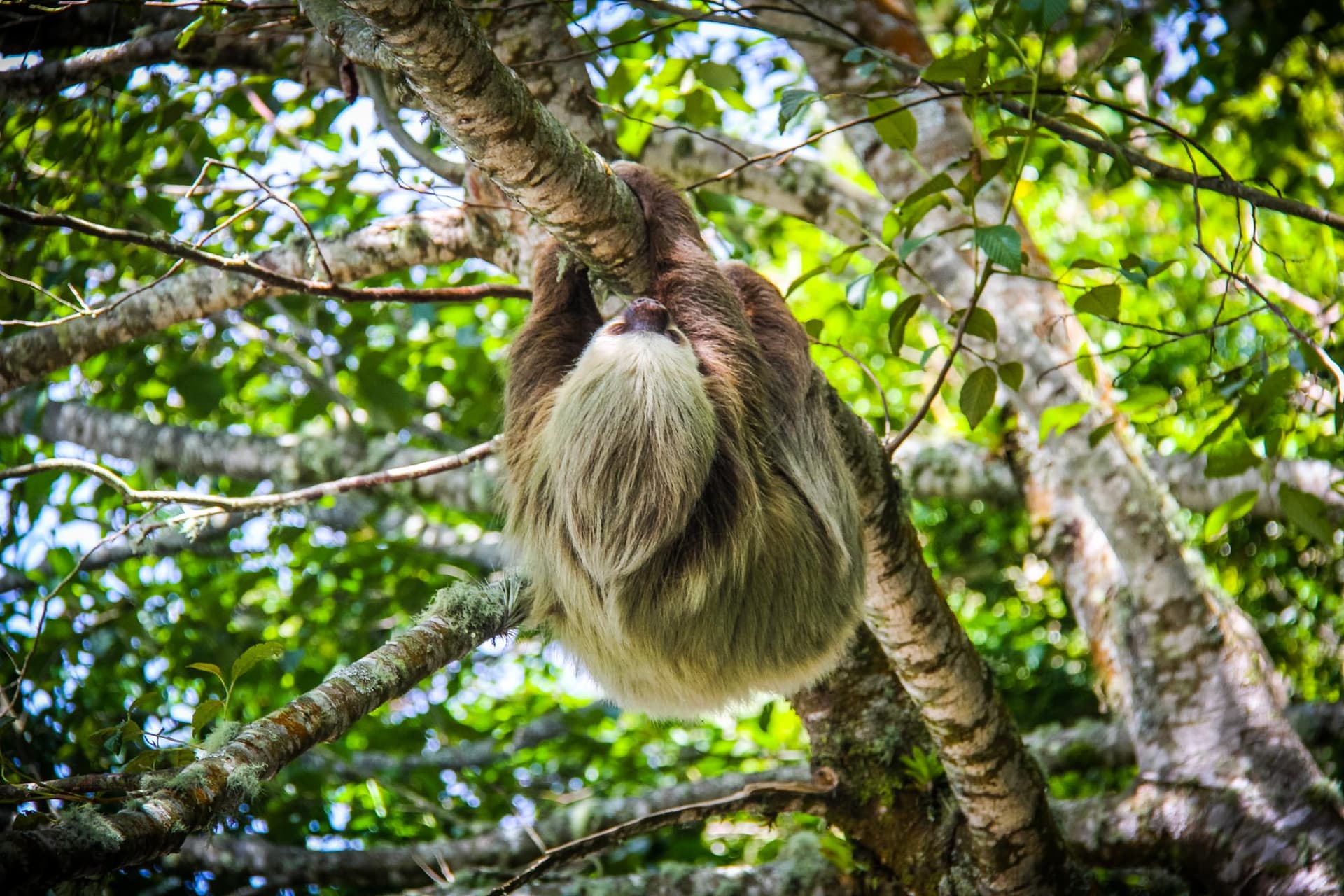 Costa Rica