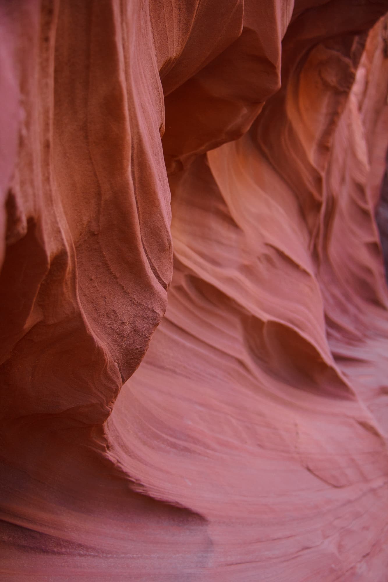 Page Arizona