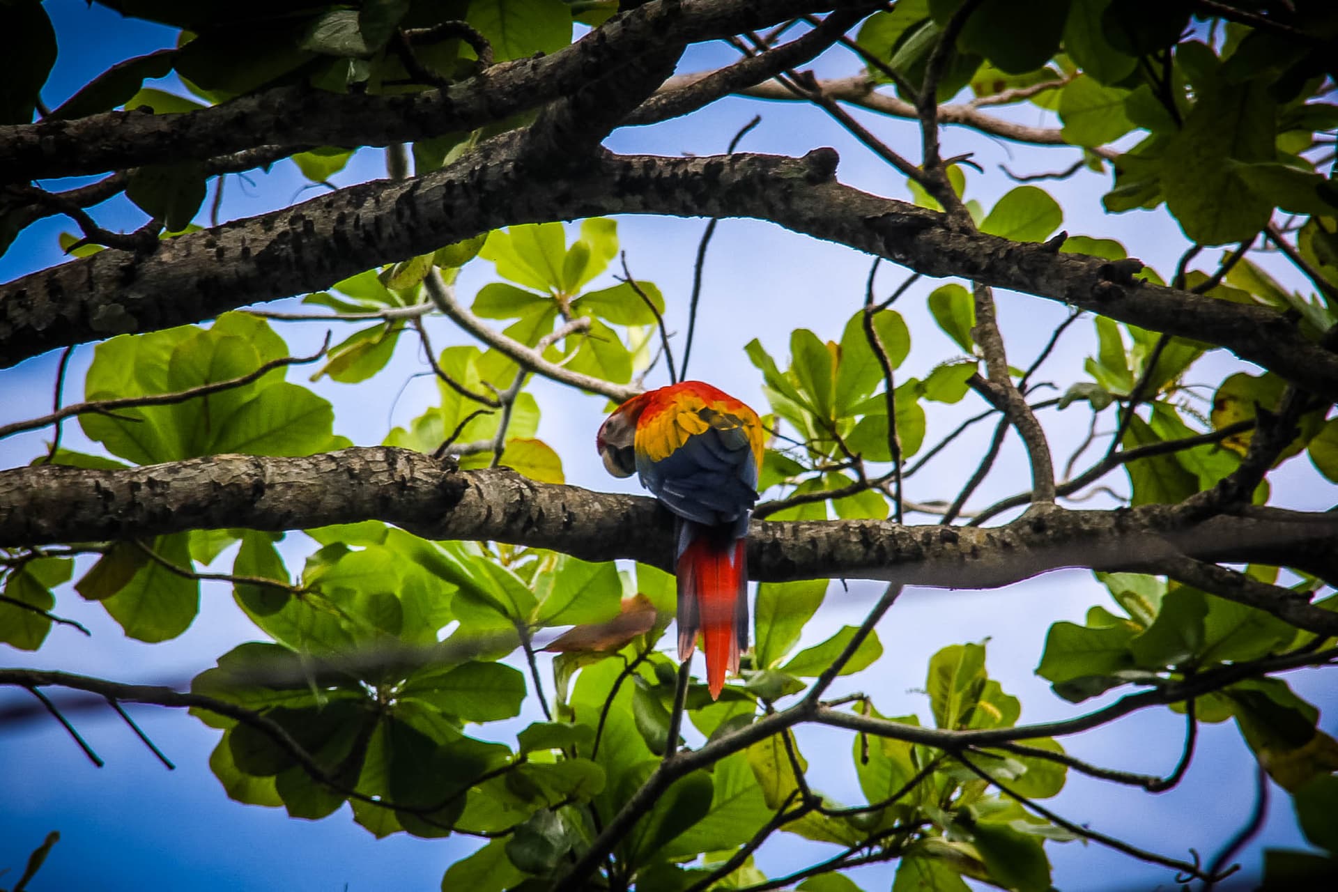 Costa Rica