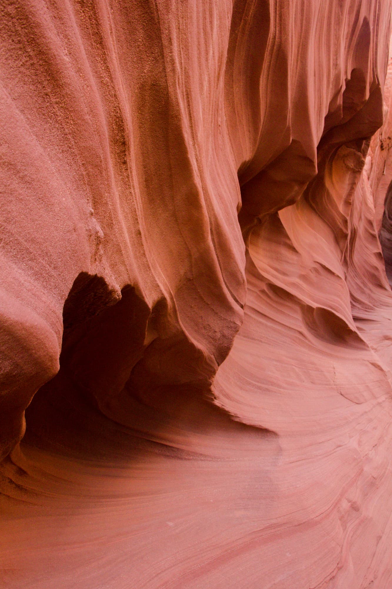 Page Arizona