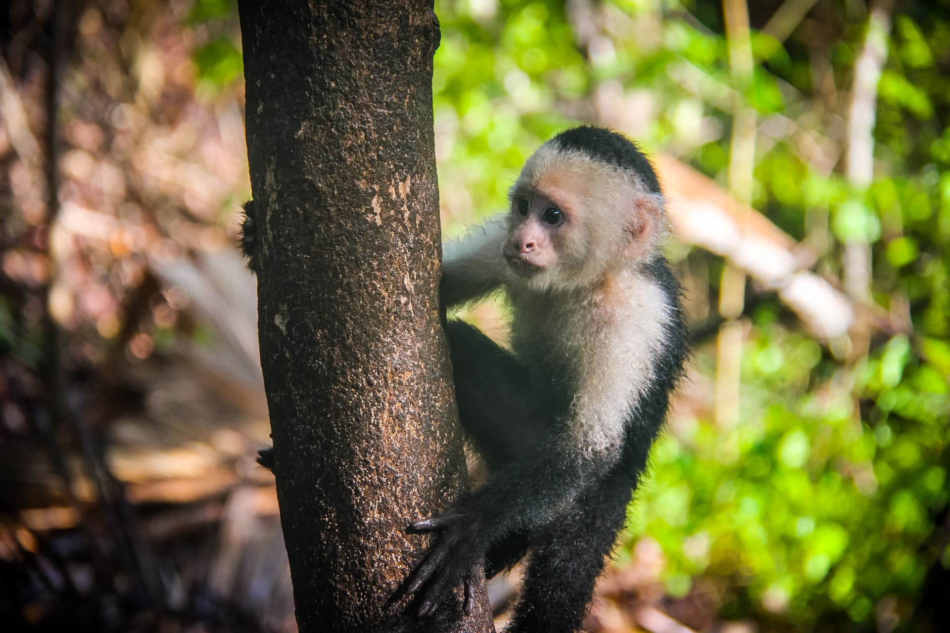 Costa Rica
