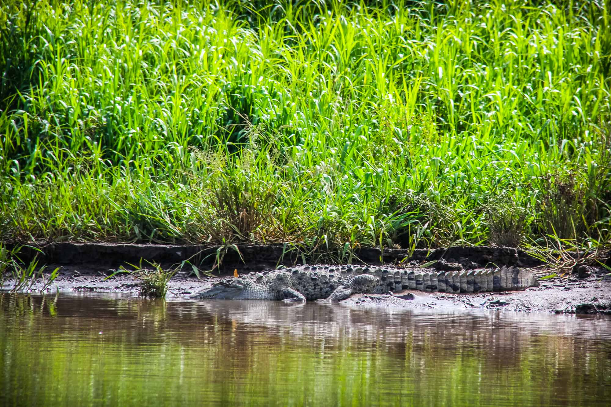 Costa Rica