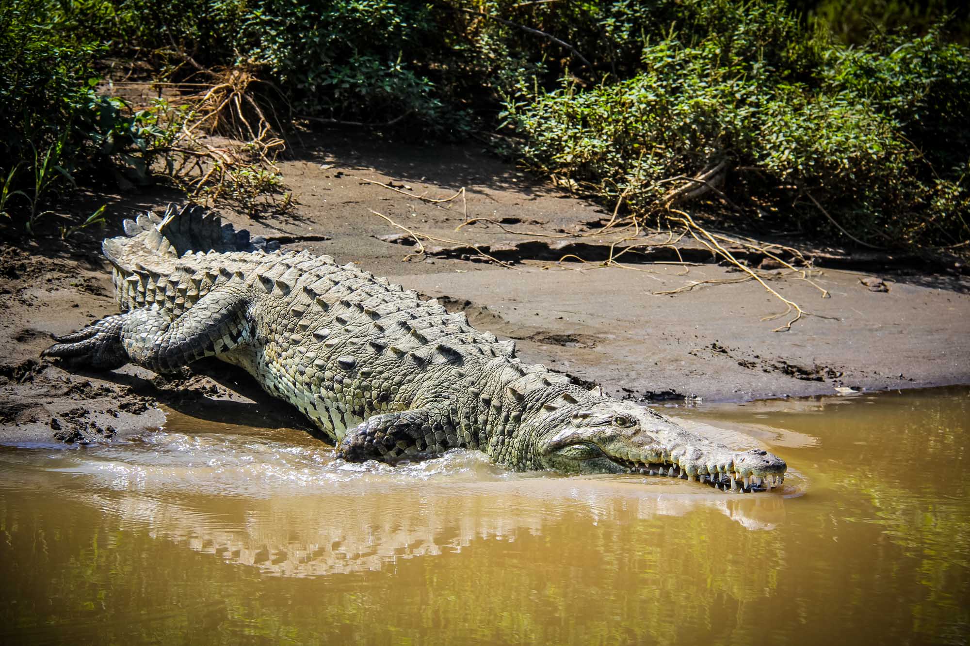 Costa Rica