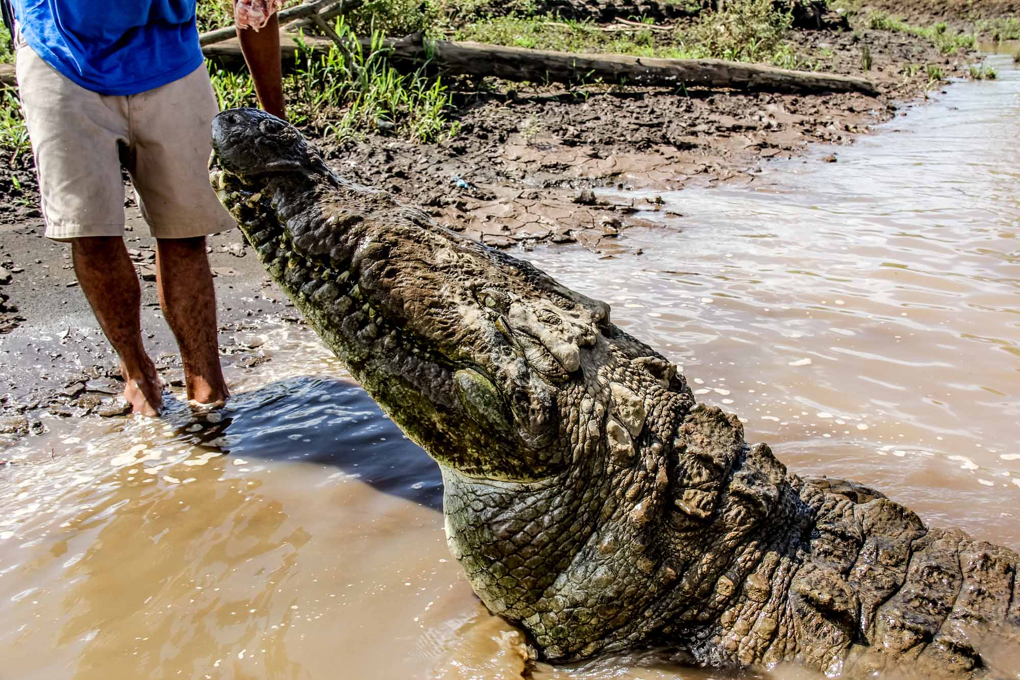 Costa Rica