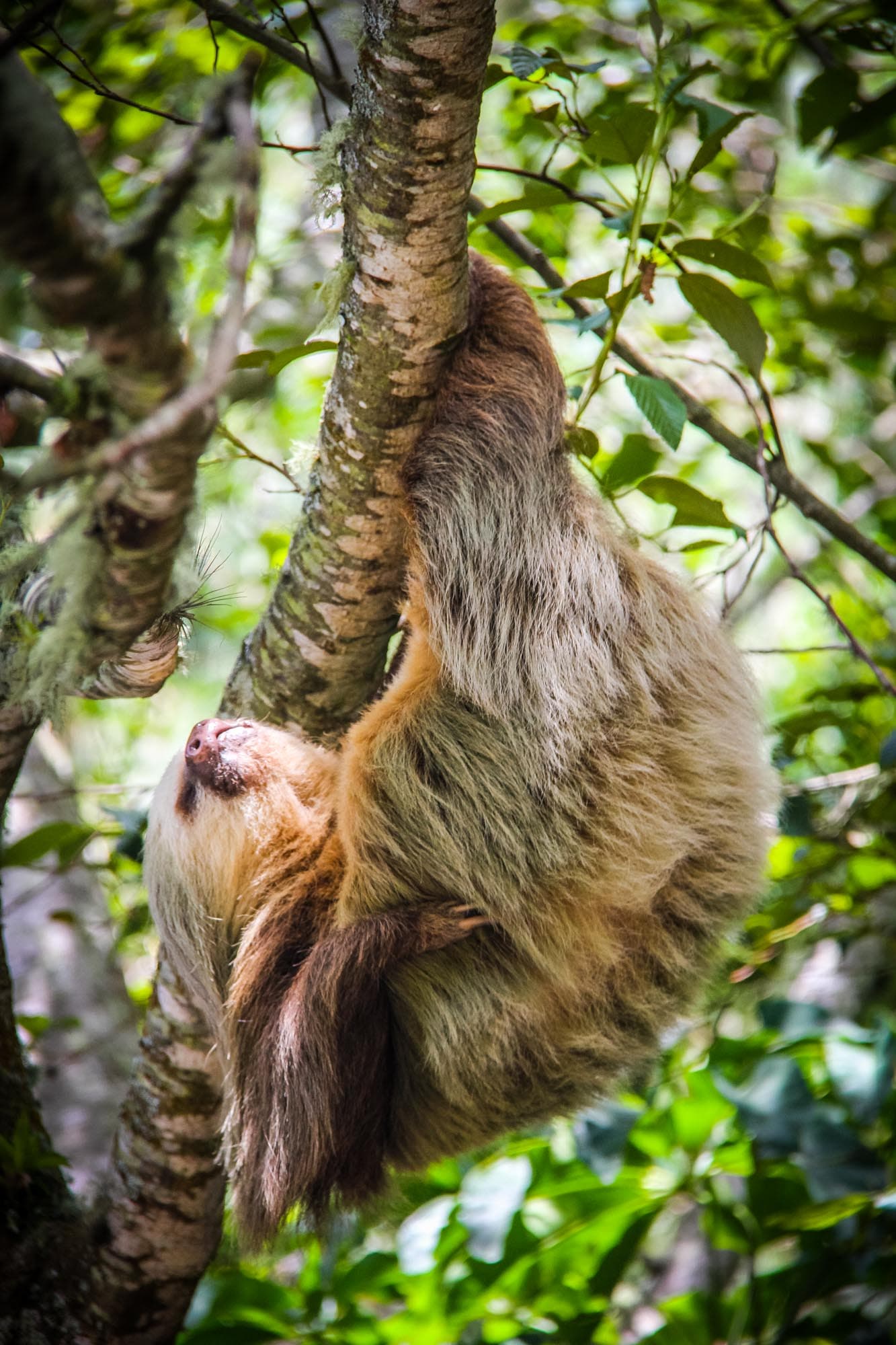 Costa Rica
