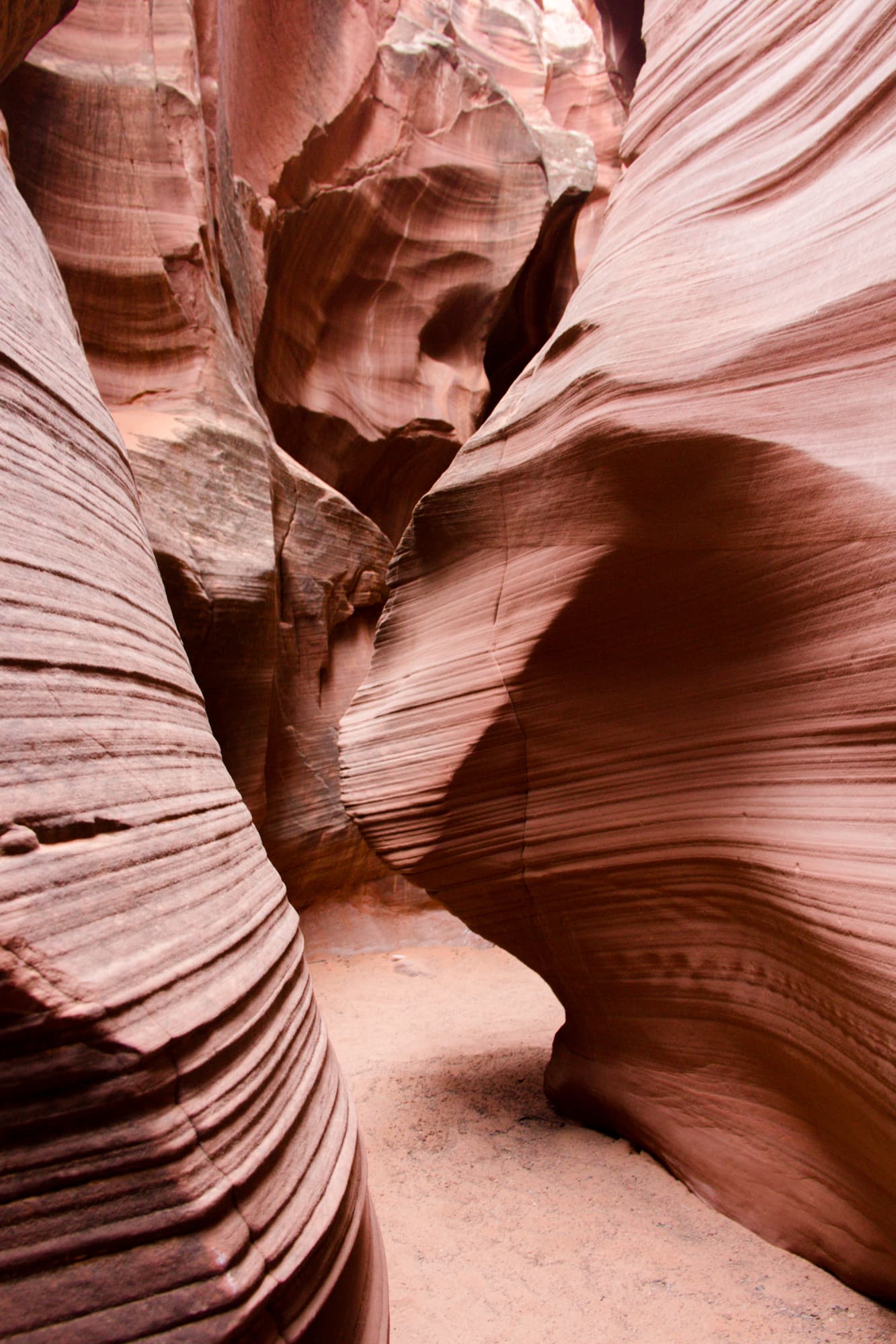 Page Arizona