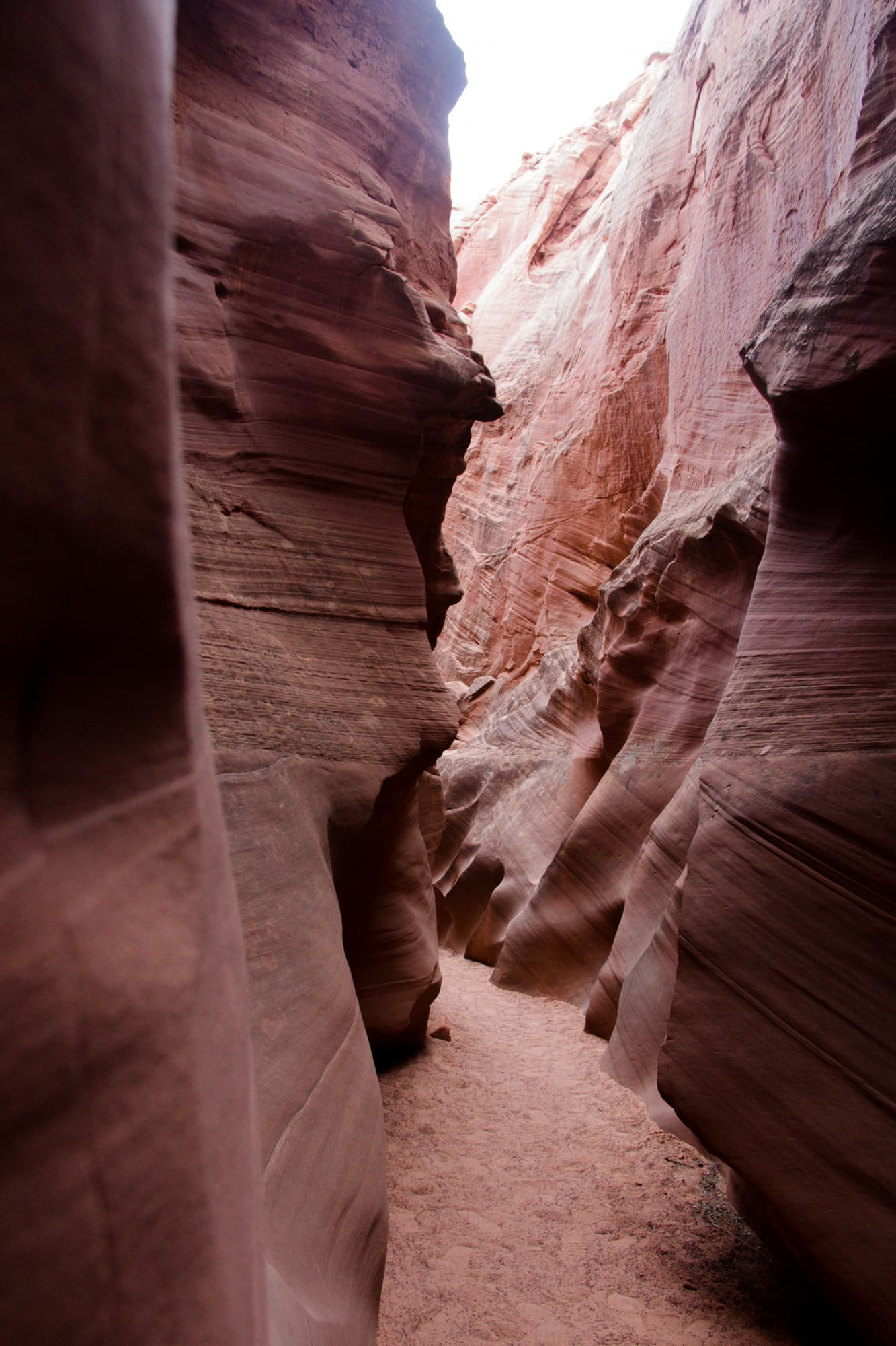 Page Arizona