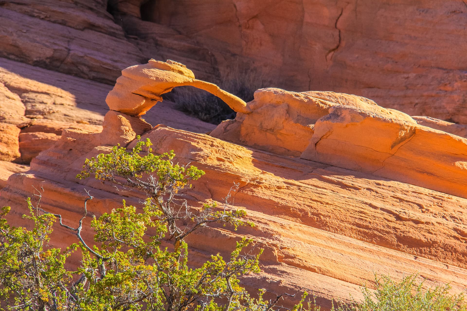 Page Arizona