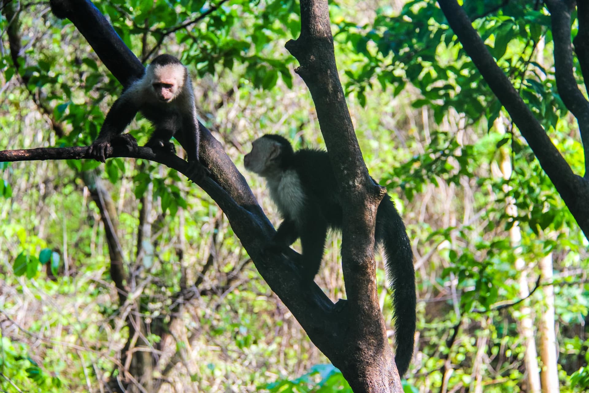 Costa Rica