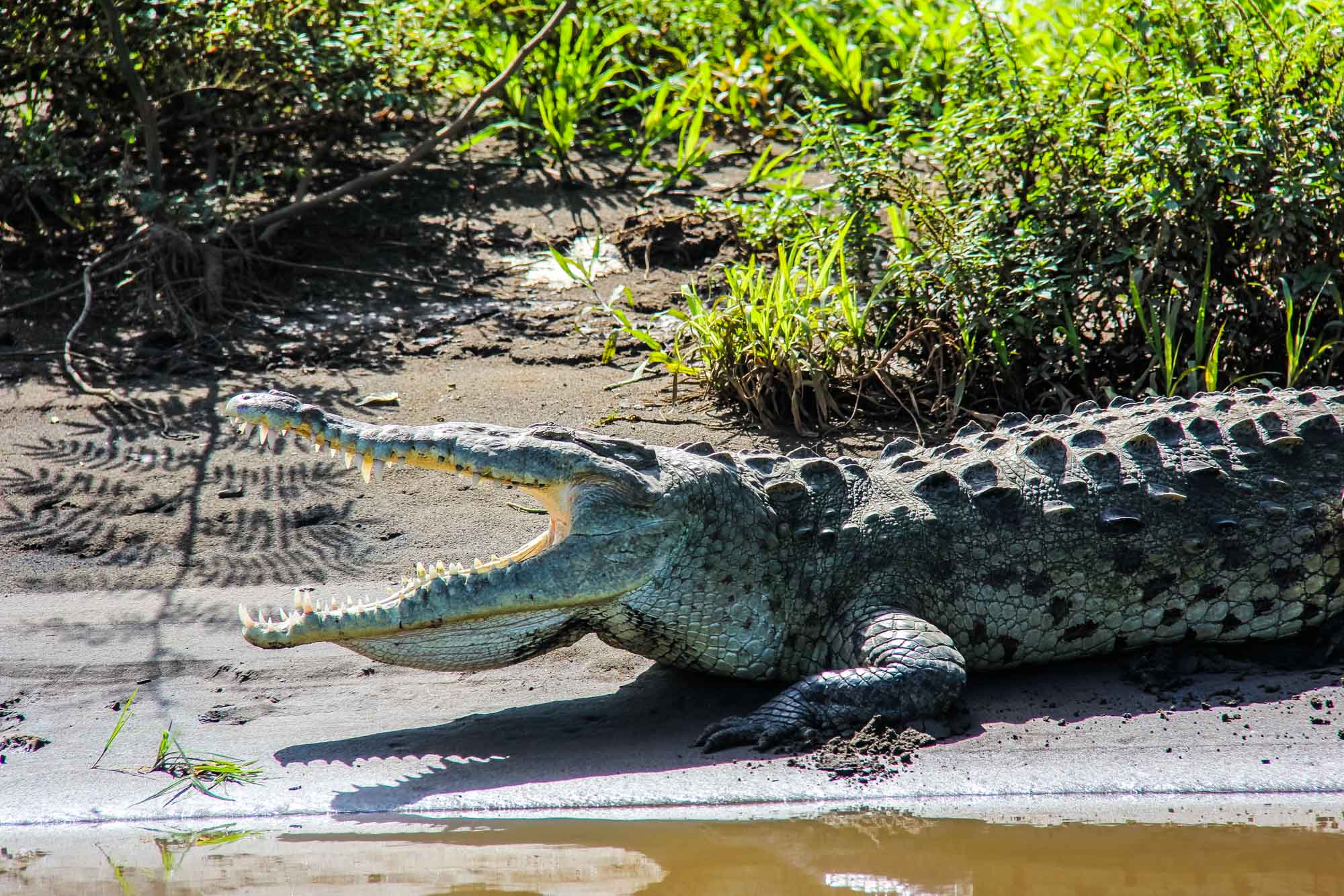 Costa Rica
