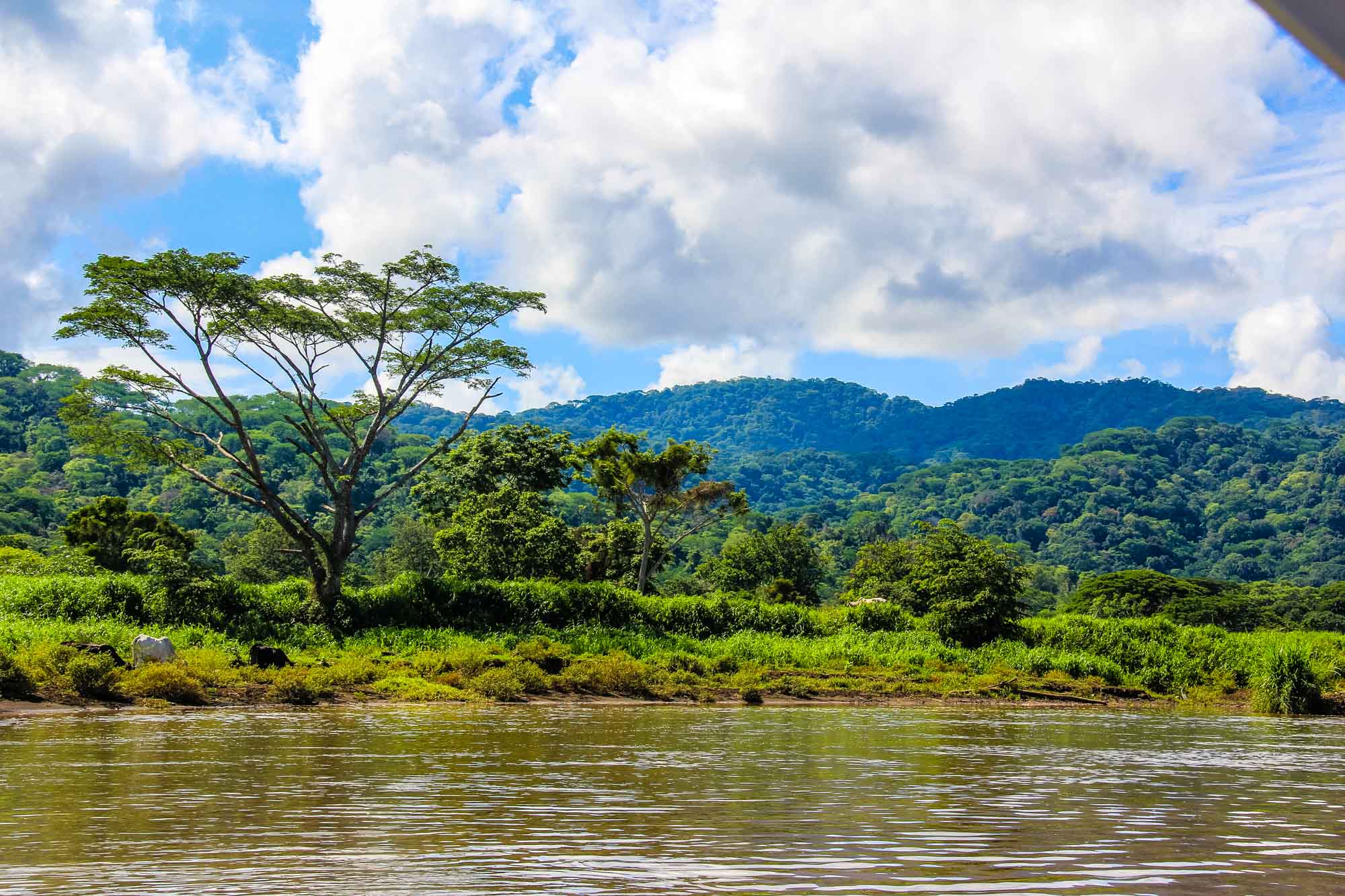 Costa Rica