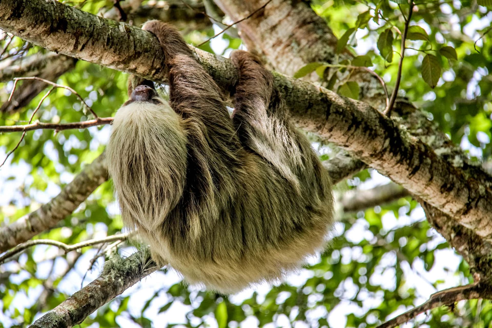 Costa Rica
