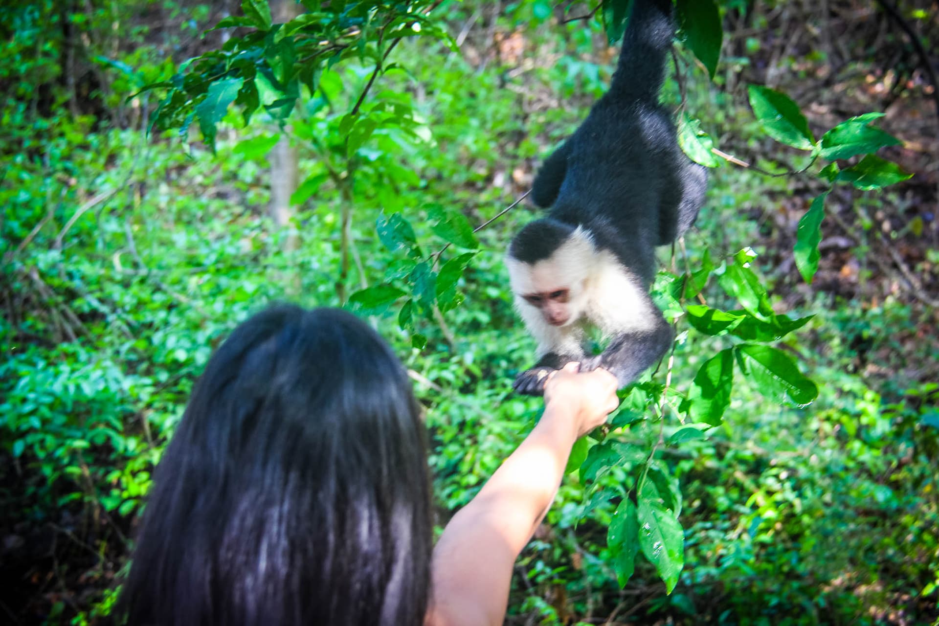 Costa Rica