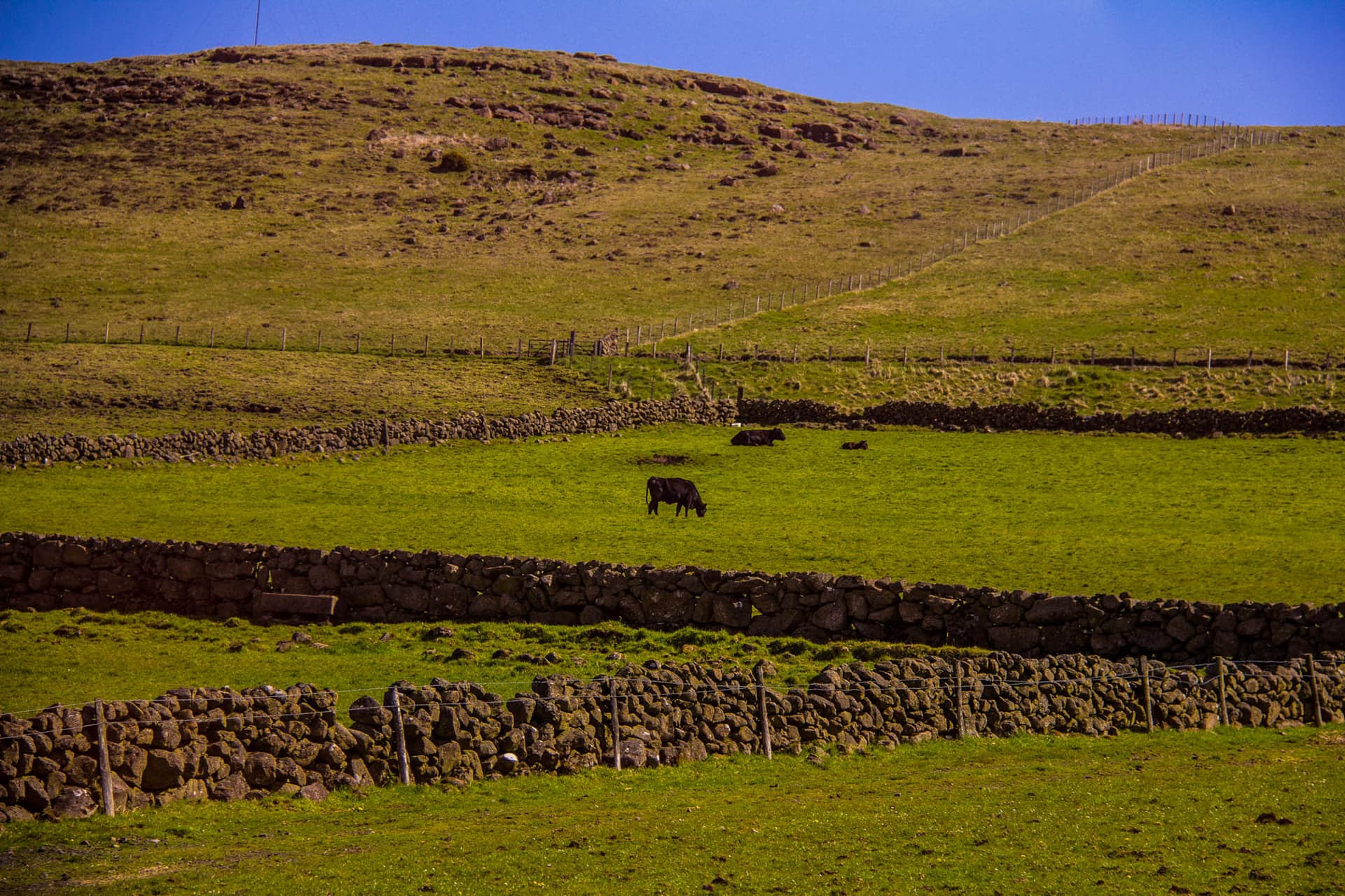 Northern Ireland