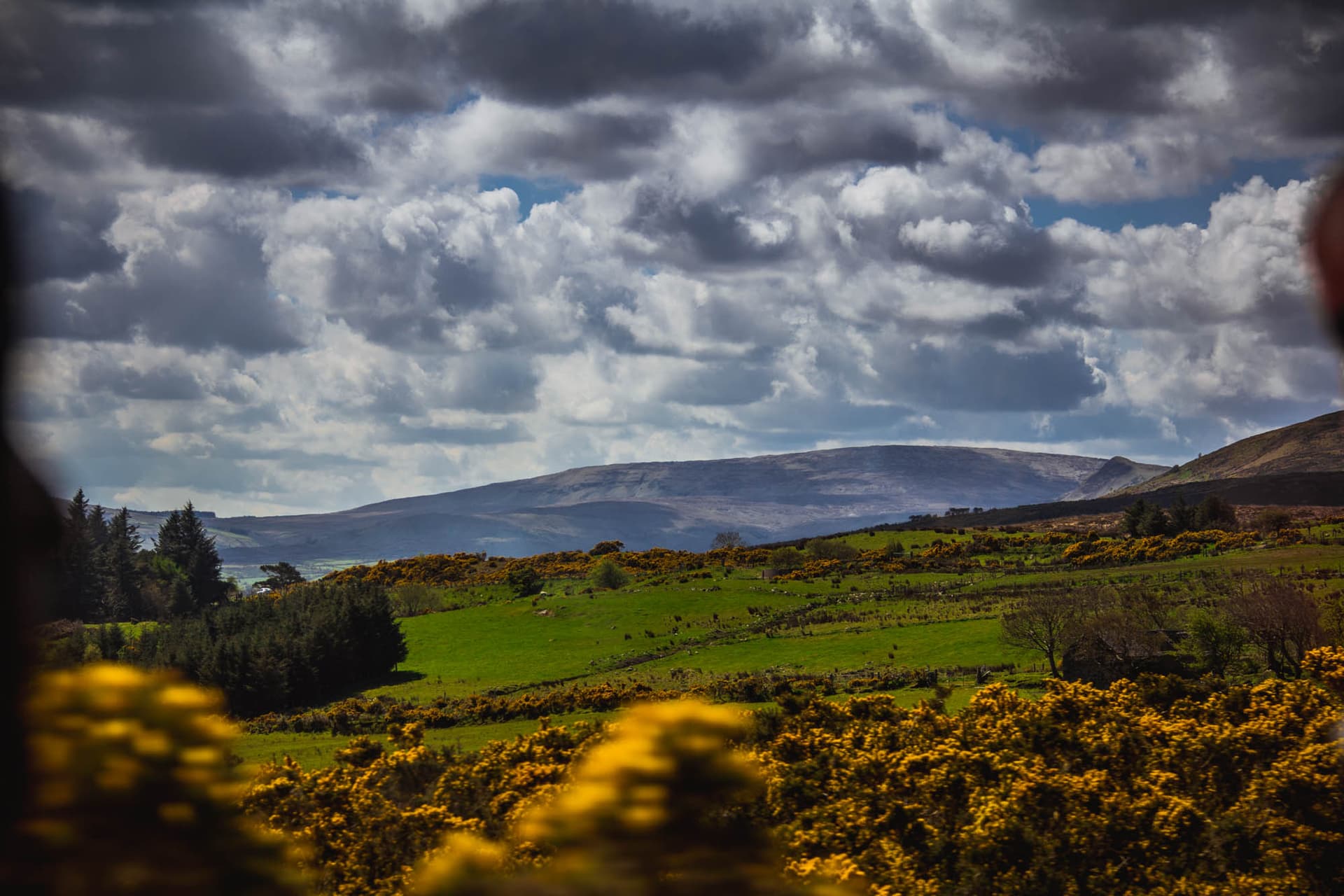 Northern Ireland